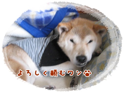 抱きぐせ_c0049950_21282675.jpg