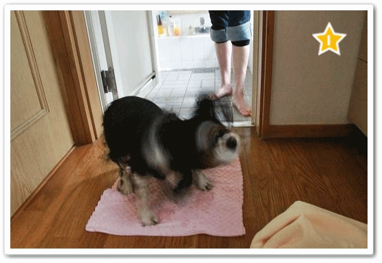 c0145250_13484876.gif