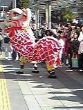 中国獅子舞&もちつき大会_d0118053_11345614.jpg