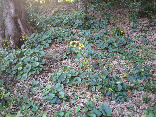 f0148563_2218841.jpg