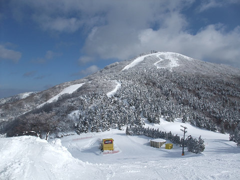 e0045768_231663.jpg