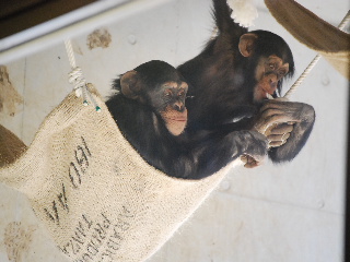 多摩動物公園　後編_d0116269_2061638.jpg