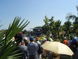 b0086476_12195441.jpg
