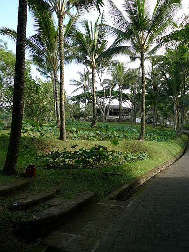 c0102085_18404777.jpg