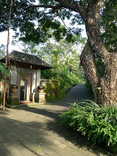 c0102085_18413017.jpg