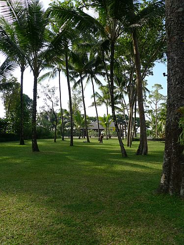 c0102085_18441618.jpg