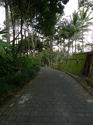 c0102085_1847928.jpg