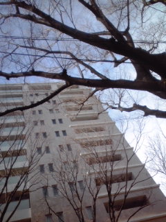 立川から国分寺の四文屋さんへ Curtis Creek Cafe 立川から国分寺の四文屋さんへ Curtis Creek Cafe
