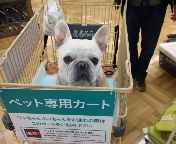 c0222400_8353676.jpg