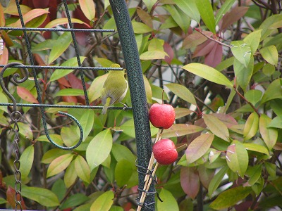 a0123003_18234331.jpg