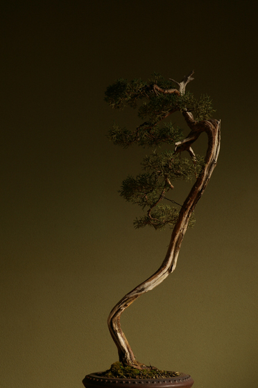 e0121605_18183266.jpg