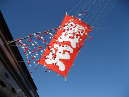 a0145206_1543779.jpg