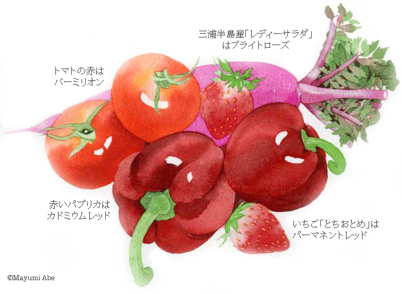 赤色野菜三昧 庭 千草 赤色野菜三昧 庭 千草