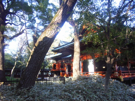 根津神社にも初詣_f0108825_10595275.jpg