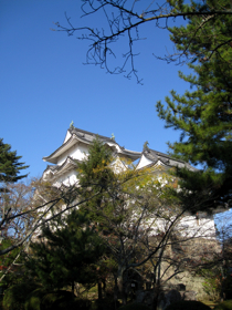 c0148627_1453779.jpg