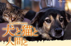 ただのいぬ。ミニ展覧会_c0191542_1042381.jpg