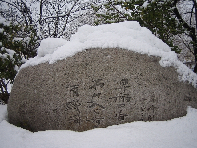 c0095143_1144636.jpg