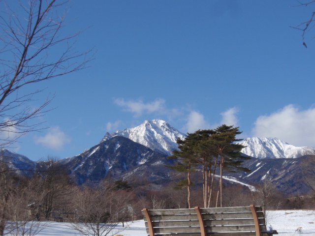 お山の新年会_c0022147_10162692.jpg