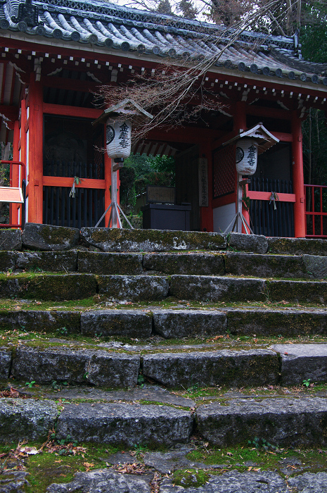 山深き寺で（金蔵寺）_f0155048_14292493.jpg