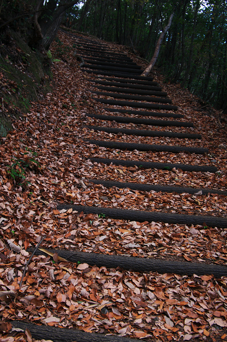 山深き寺で（金蔵寺）_f0155048_14294524.jpg