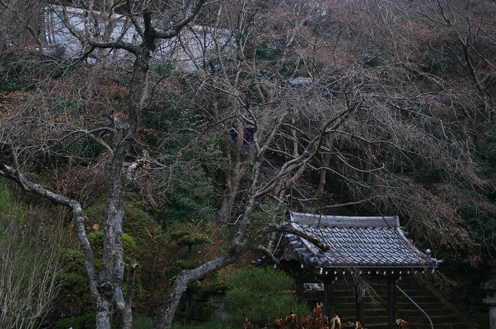 山深き寺で（金蔵寺）_f0155048_14313649.jpg