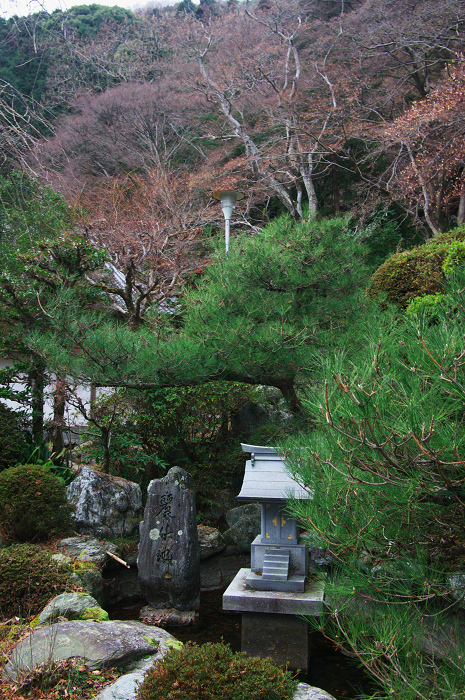 山深き寺で（金蔵寺）_f0155048_1431550.jpg