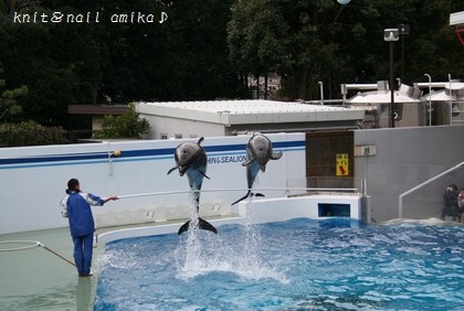 しながわ水族館☆_c0182654_20105415.jpg