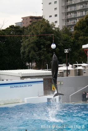 しながわ水族館☆_c0182654_2011751.jpg