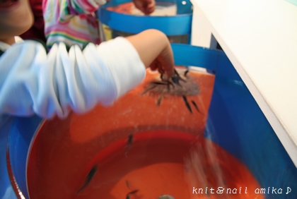 しながわ水族館☆_c0182654_209253.jpg