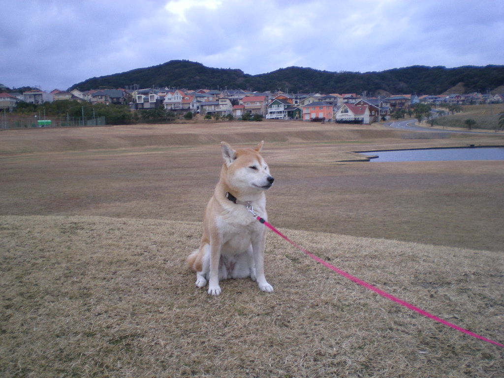 2010年1月11日(月)雨で寒い勝浦です!_f0060461_1391060.jpg