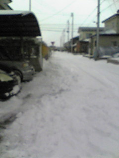 e0109163_194141.jpg