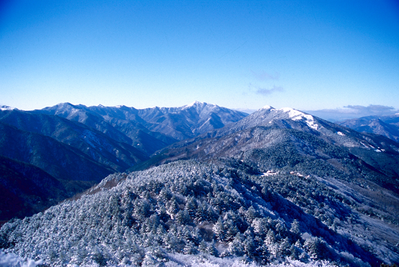 冬晴れの日に　　徳島県丸笹山より_c0199468_1958779.jpg