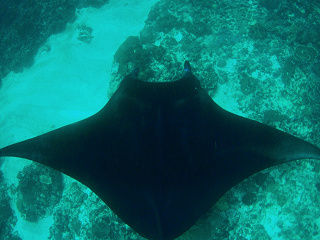 c0131970_15475685.jpg
