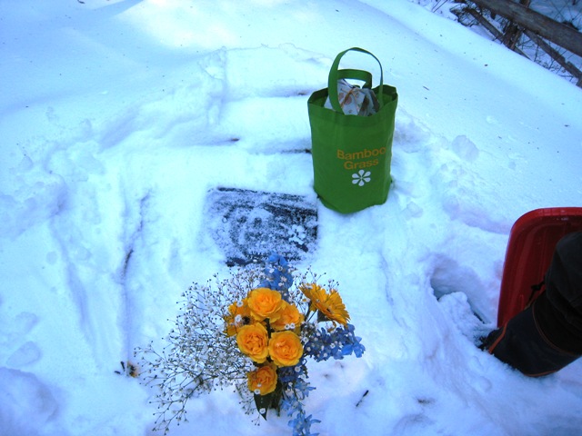 d0065484_215982.jpg