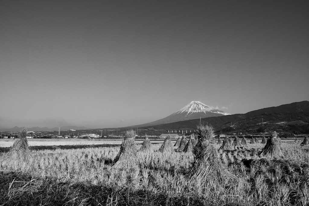 冬の田園_b0116600_2393723.jpg