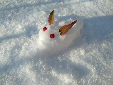 雪うさぎ_a0122205_22492123.jpg