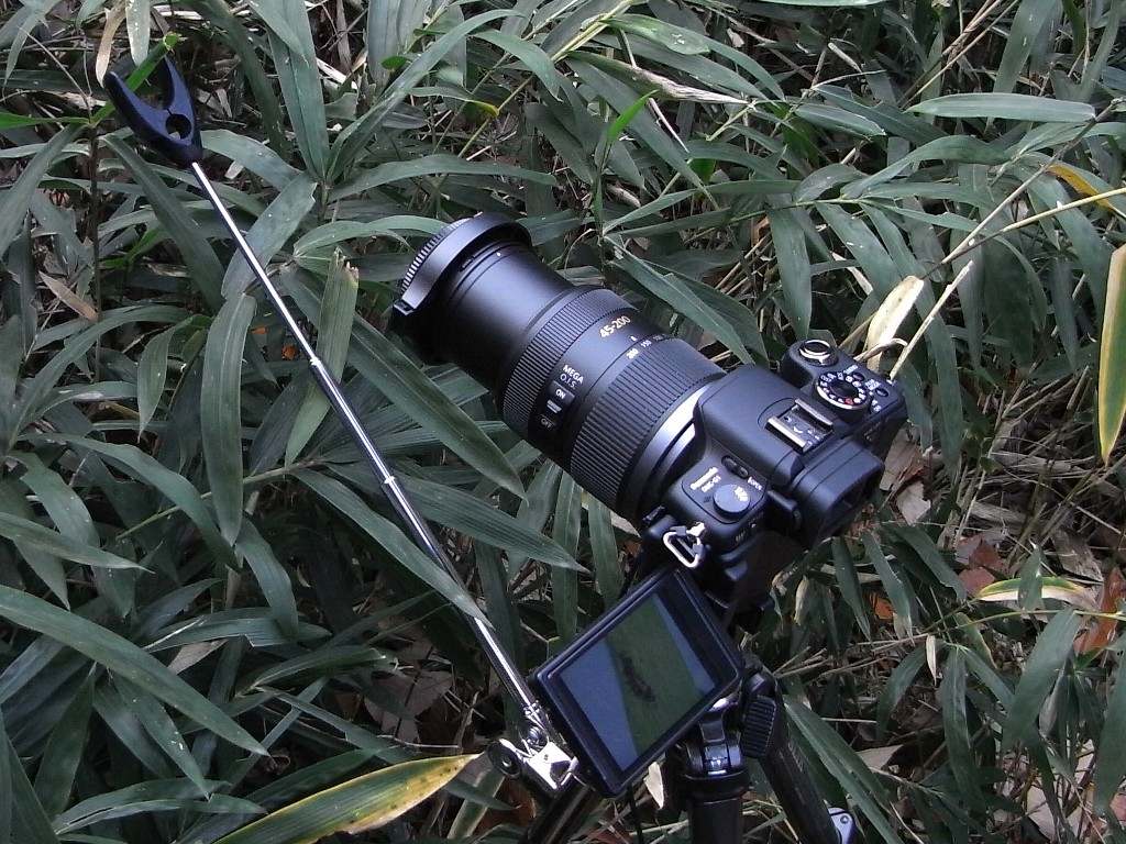 d0010008_03177.jpg