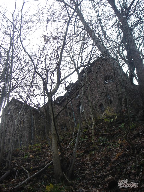 e0045908_843020.jpg