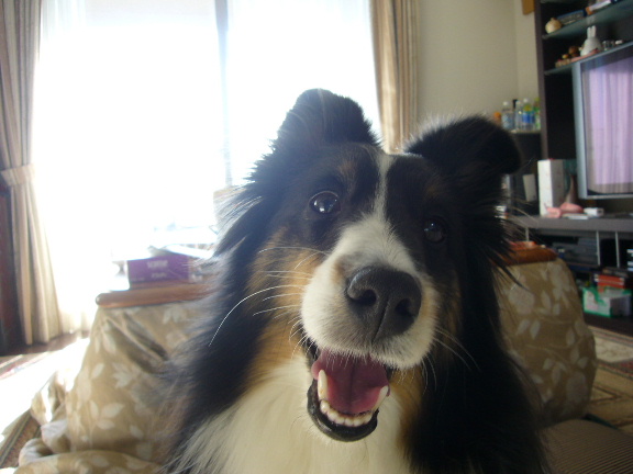 e0130008_2071792.jpg