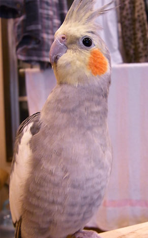 c0133013_13163546.jpg
