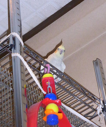 c0133013_131933.jpg
