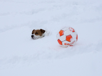 雪もりもりキャンプ　その３。_f0129214_12251048.jpg