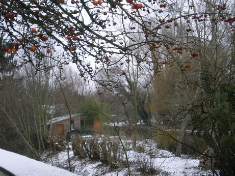 c0124619_8152675.jpg