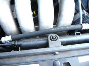 e0008322_11403379.jpg