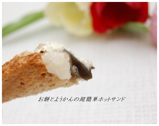 余ったお餅とようかんの超簡単ホットサンド☆_d0104926_23561742.jpg
