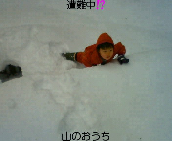 f0085327_11215.jpg