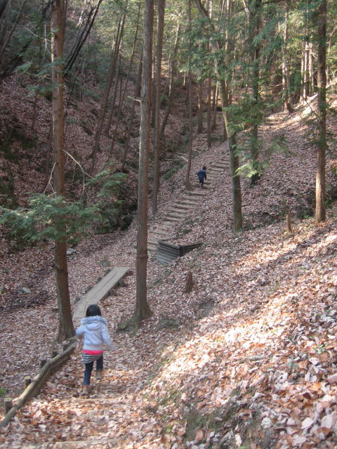 c0113733_126382.jpg