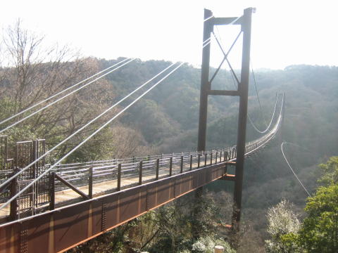 c0113733_131928.jpg