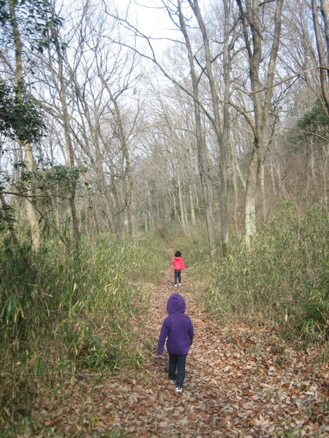 c0113733_1454624.jpg