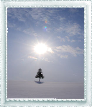 １月１２日“木のある風景”_d0069235_17165483.jpg